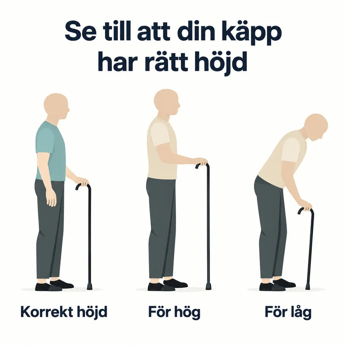 cane_height_guide_in_swedish.webp y0izuz-kx
